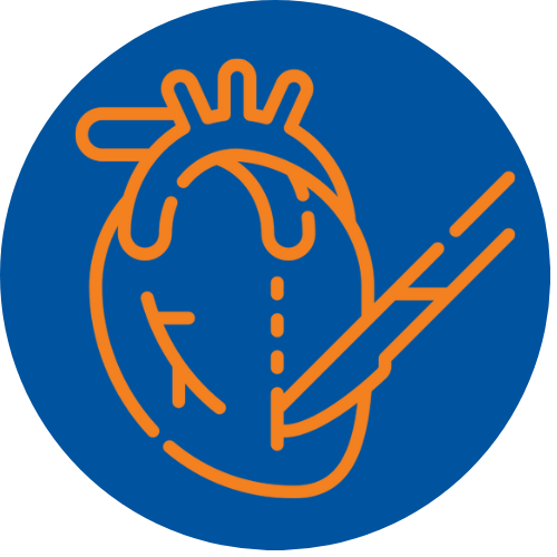 Minor Surgical Procedures